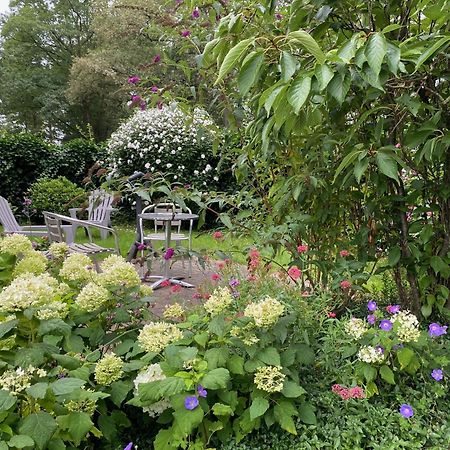 라런 De Viersprong B&B 외부 사진