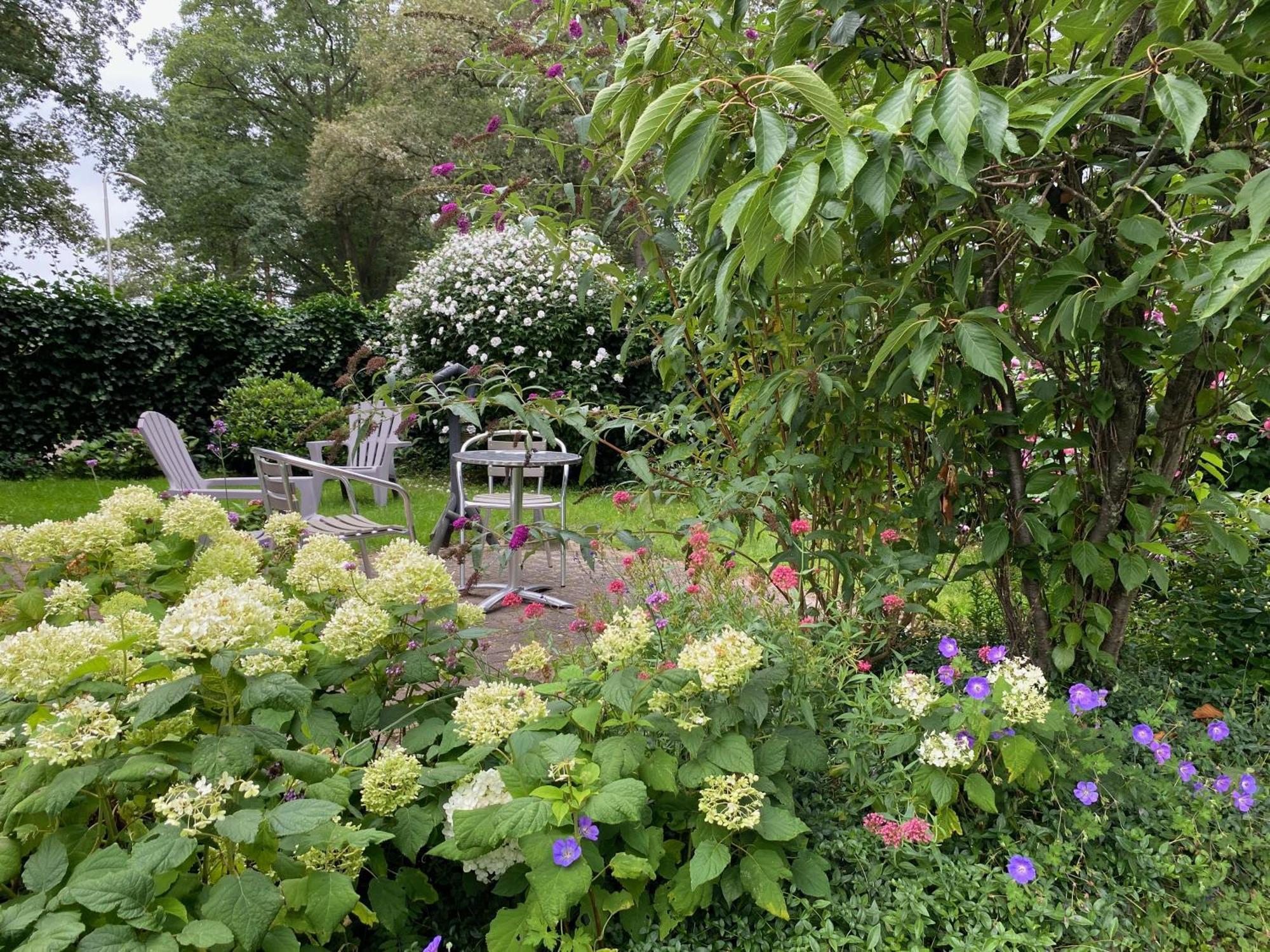 라런 De Viersprong B&B 외부 사진