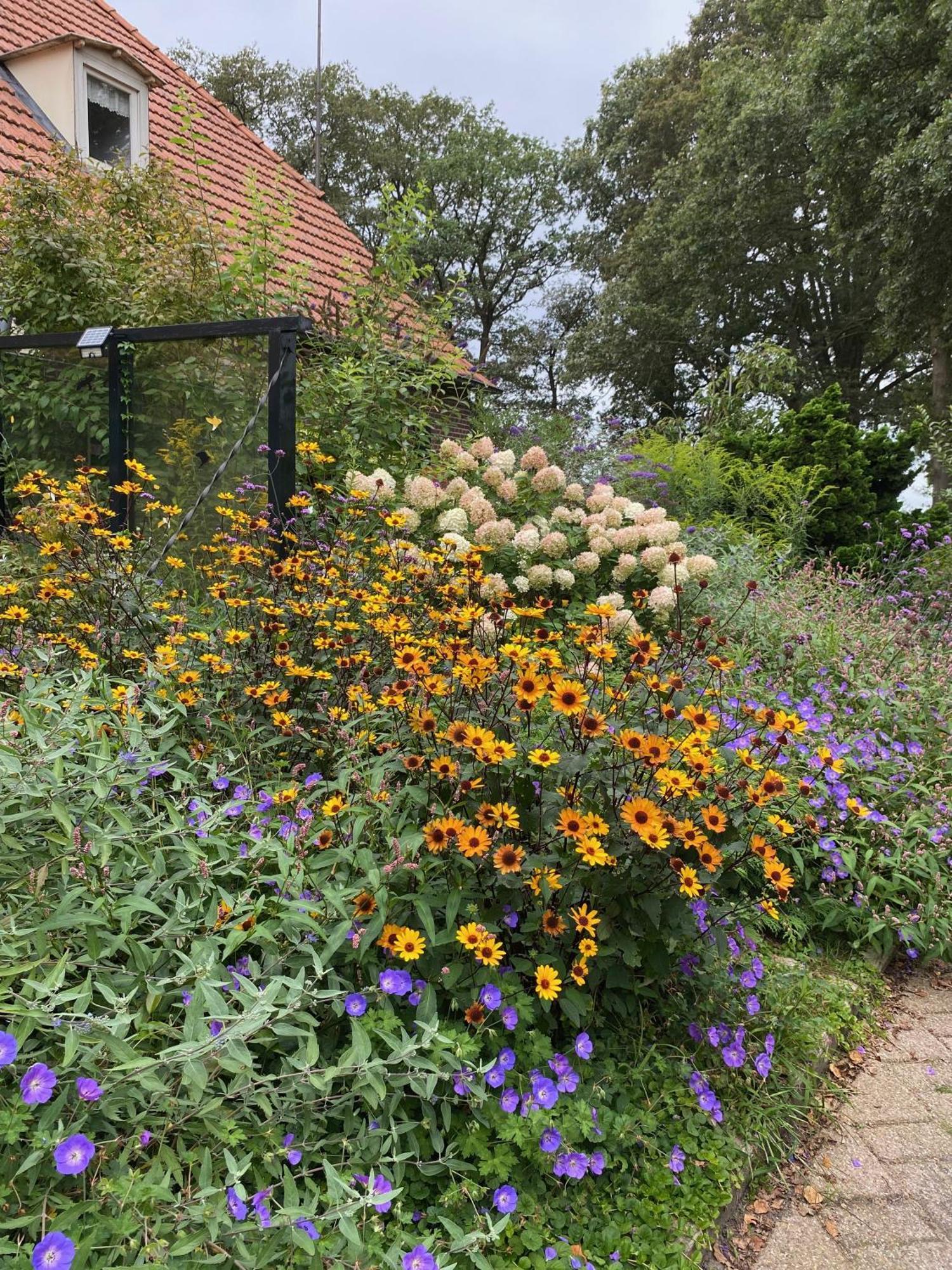 라런 De Viersprong B&B 외부 사진
